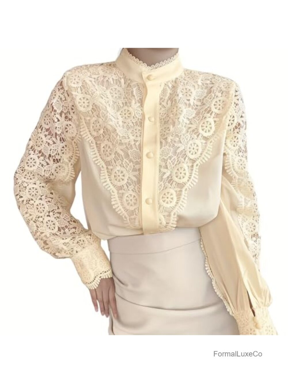 Lace Trim Mock Neck Puffy Sleeve Victorian Blouse Women's Long Sleeve Button Up